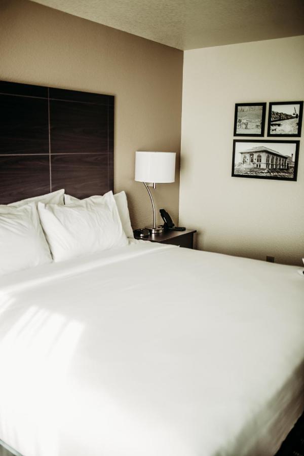 Cobblestone Hotel & Suites אינטרנשיונל פולס מראה חיצוני תמונה